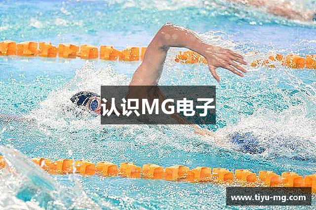 认识MG电子